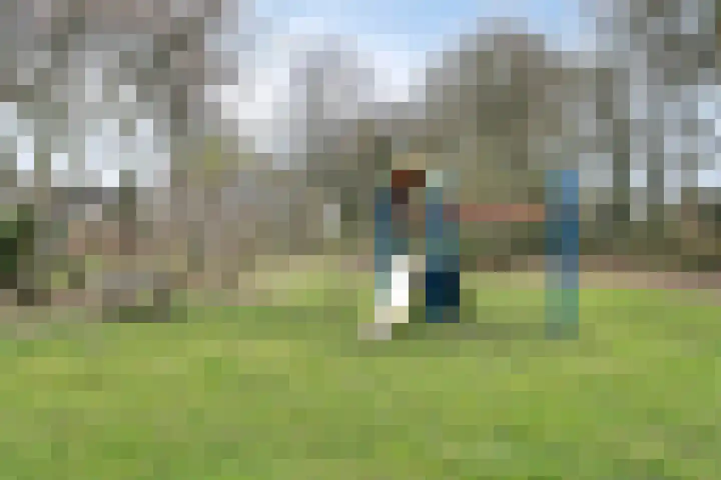 't Gebint 57 Zuidlaren thumbnail 40