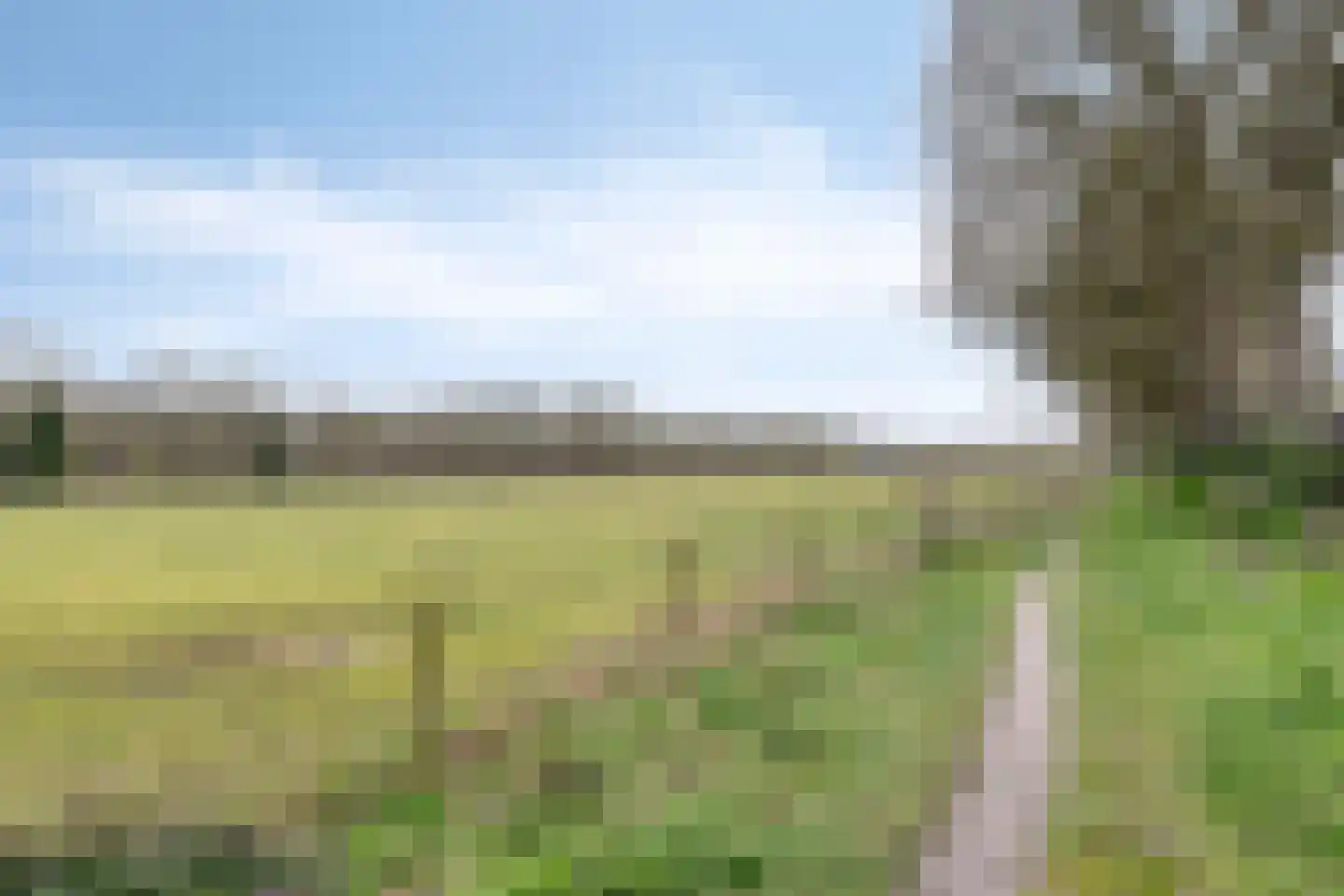 't Gebint 57 Zuidlaren thumbnail 41