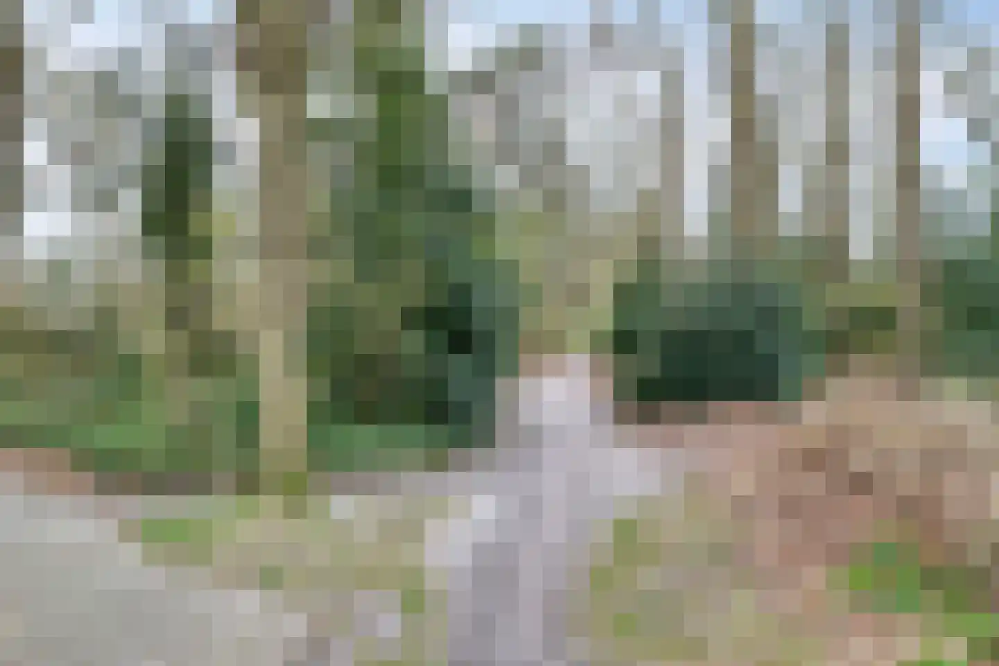 't Gebint 57 Zuidlaren thumbnail 42