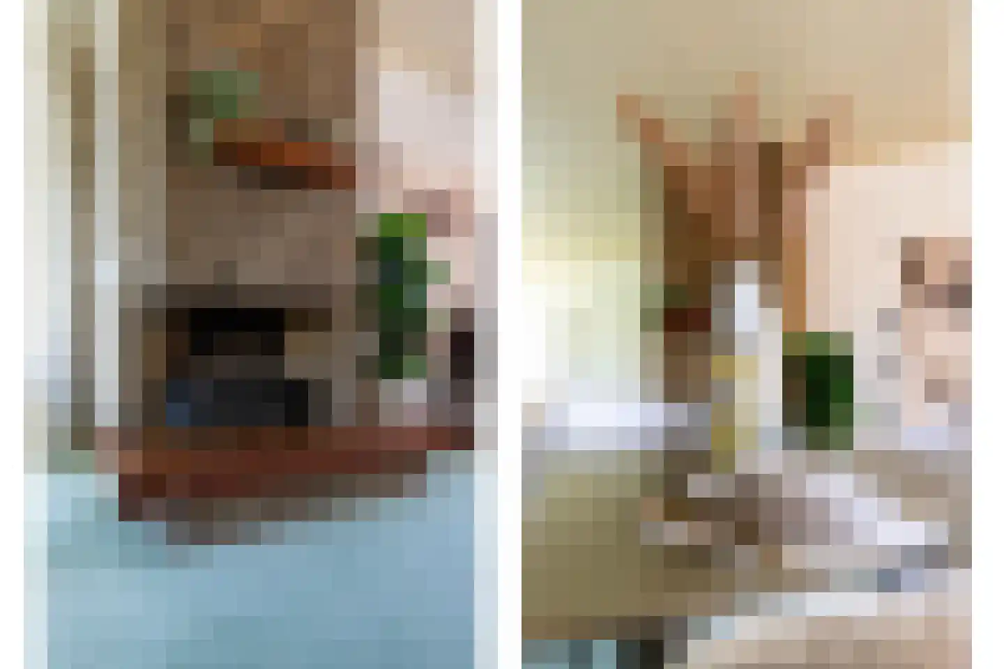 't Geerken 27 Berlicum thumbnail 11