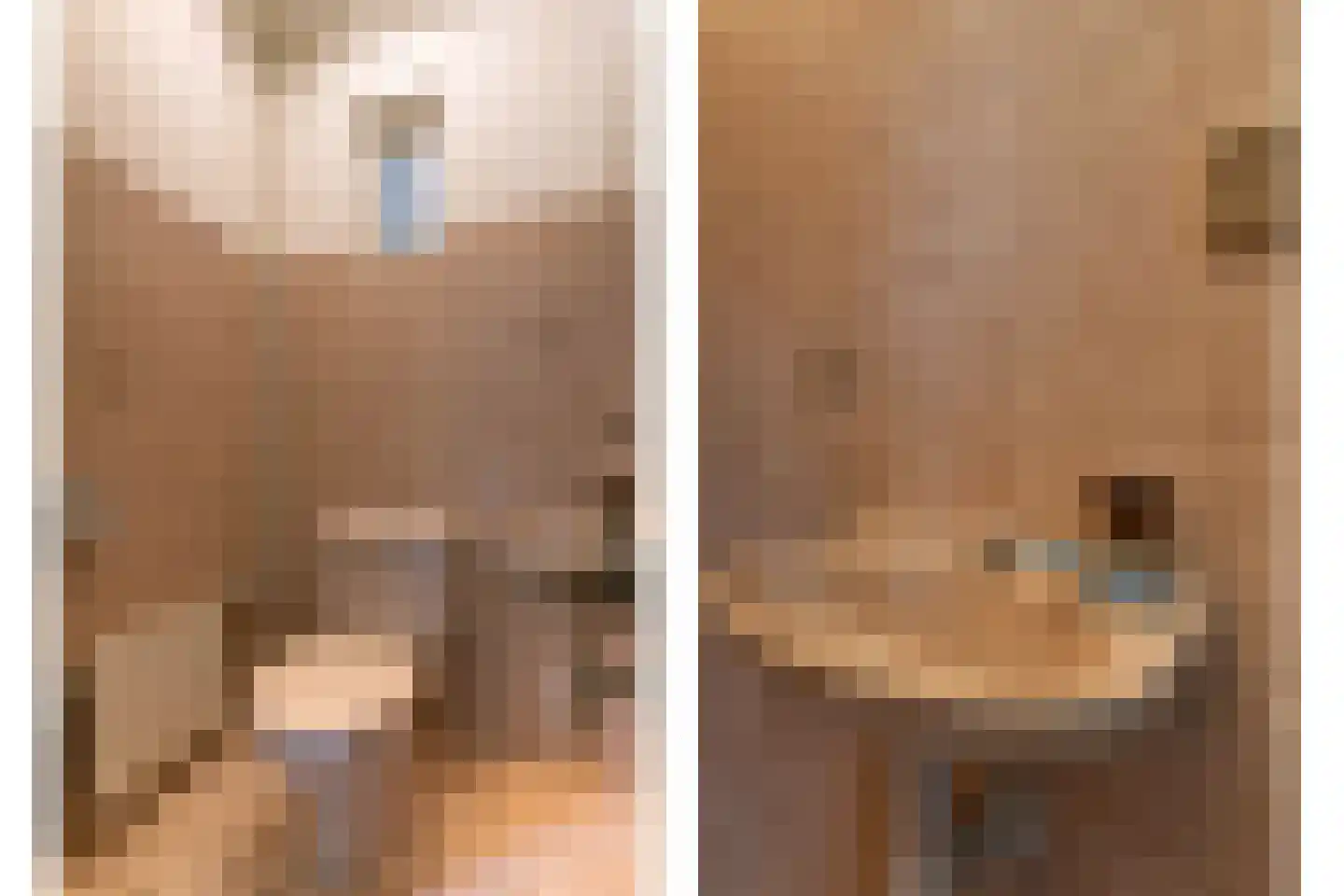 't Geerken 27 Berlicum thumbnail 20