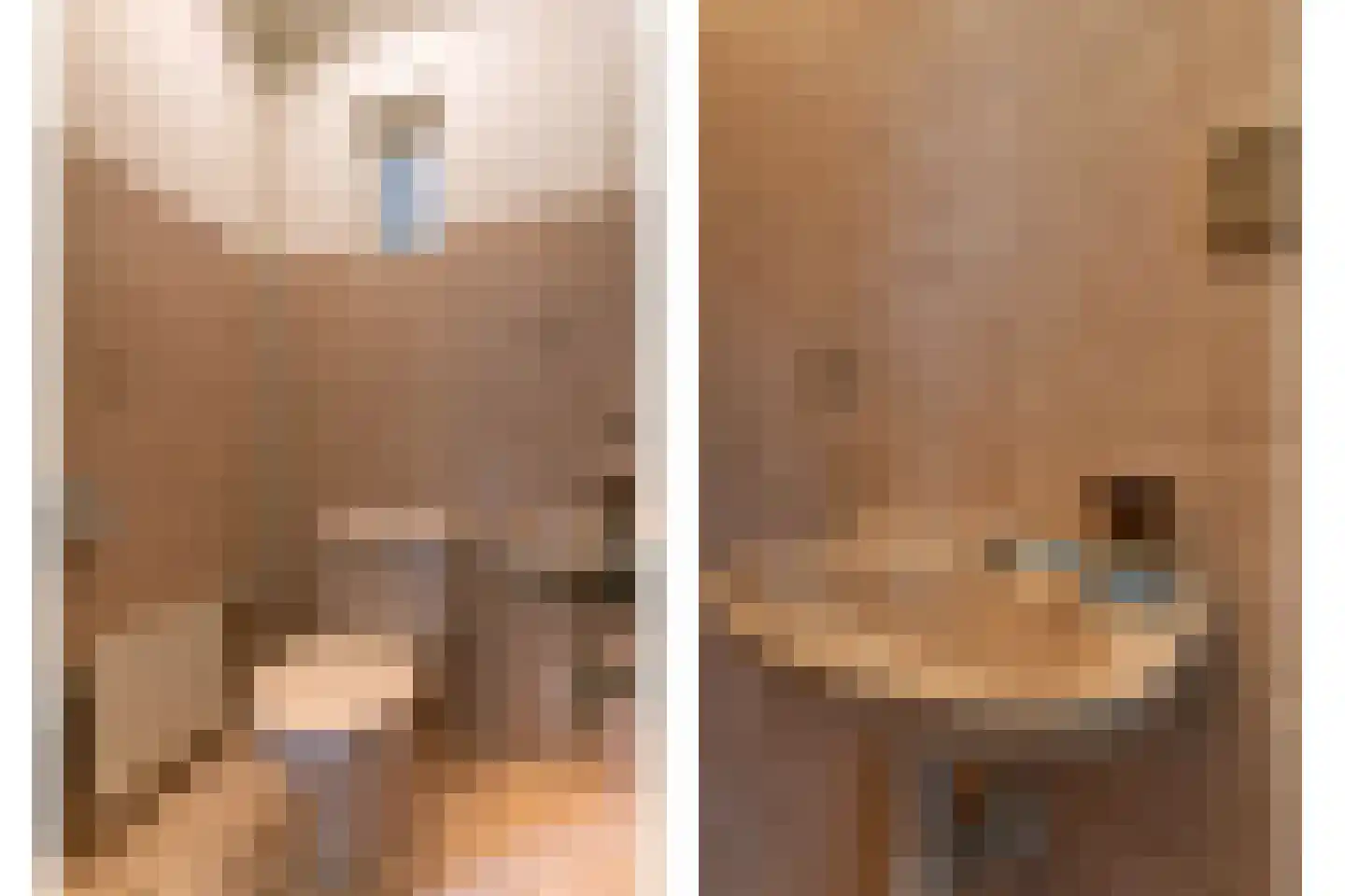 't Geerken 27 Berlicum thumbnail 21