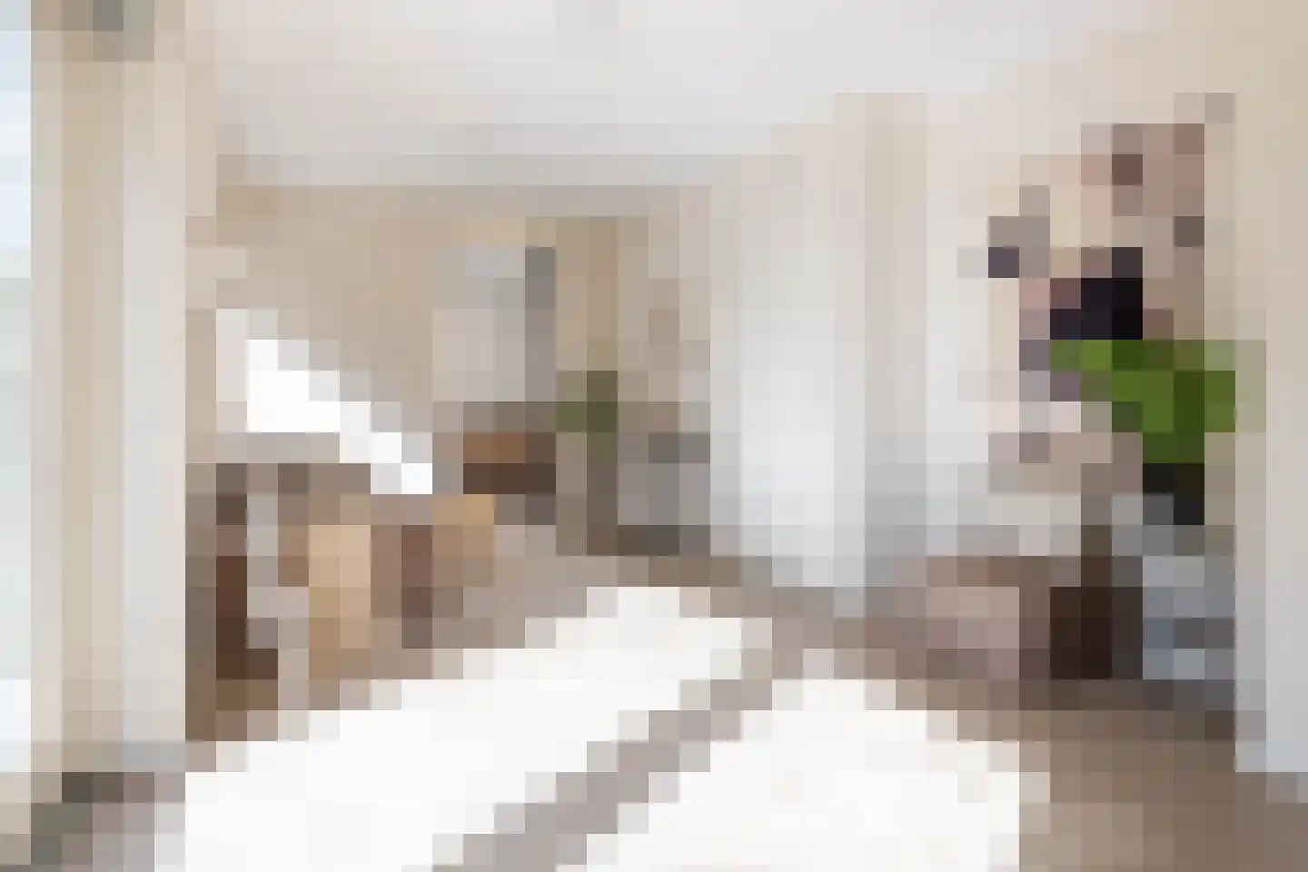 't Geerken 27 Berlicum thumbnail 22