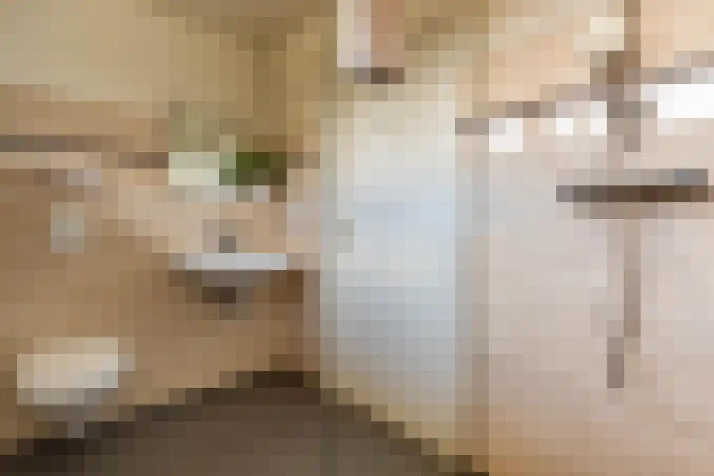 't Geerken 27 Berlicum thumbnail 40