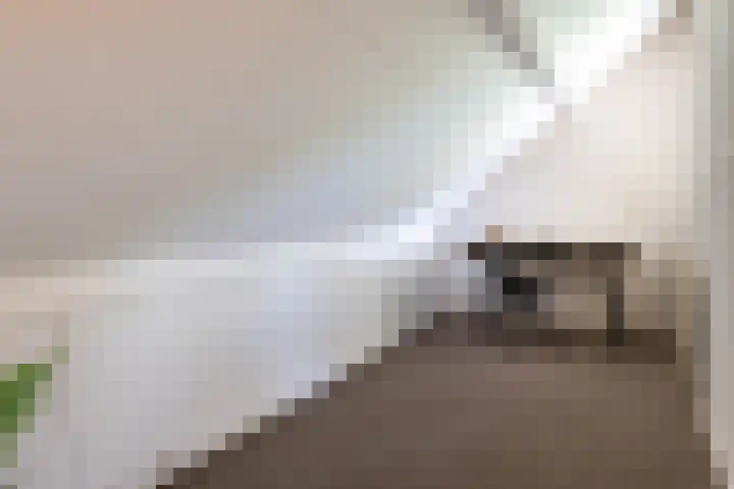 't Geerken 27 Berlicum thumbnail 45