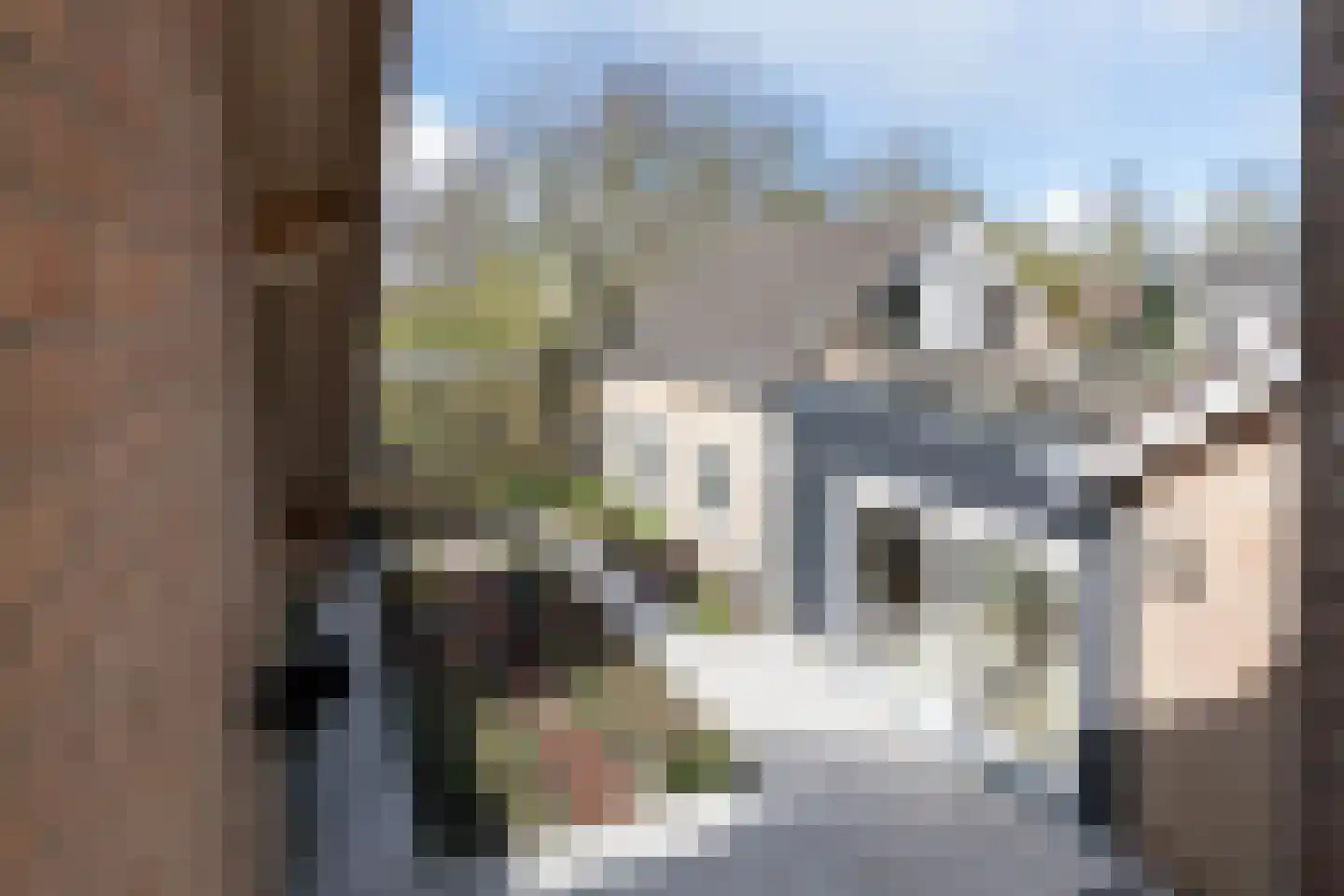 't Geerken 27 Berlicum thumbnail 56