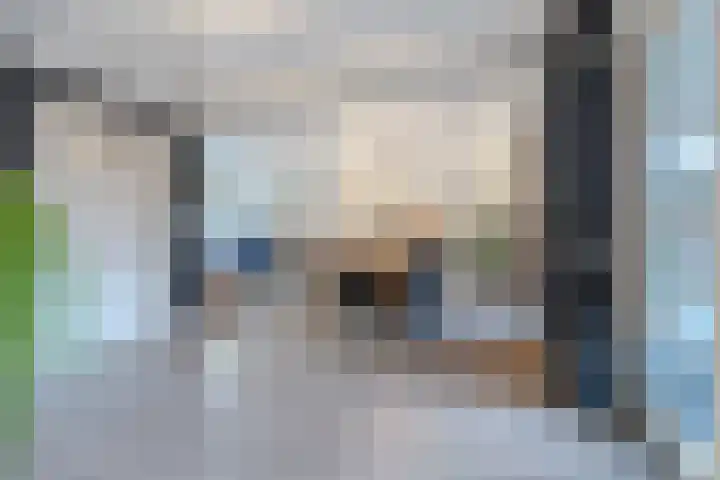 't Geluk 15 Geldrop thumbnail 16