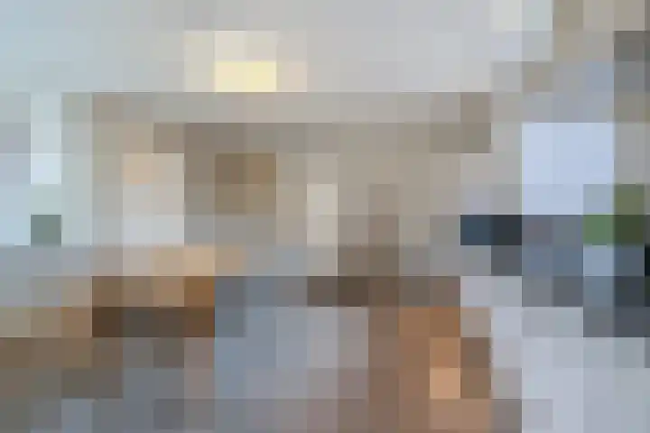 't Geluk 15 Geldrop thumbnail 17