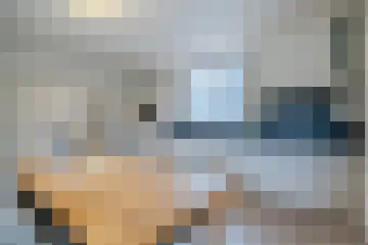 't Geluk 15 Geldrop thumbnail 18