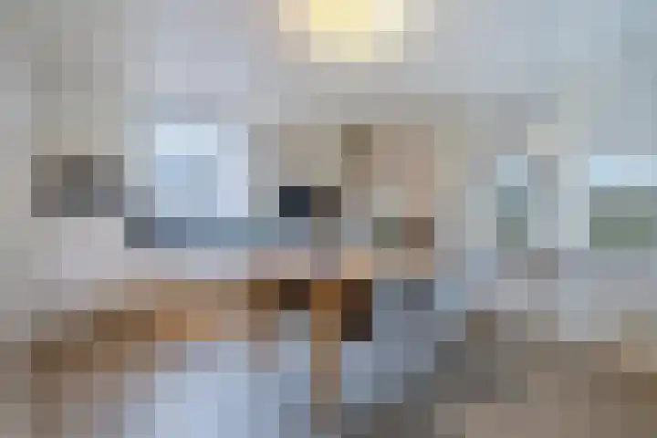 't Geluk 15 Geldrop thumbnail 19