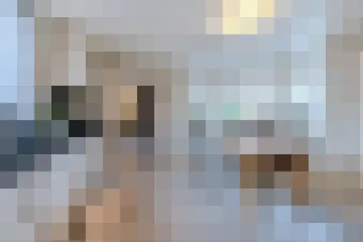 't Geluk 15 Geldrop thumbnail 20