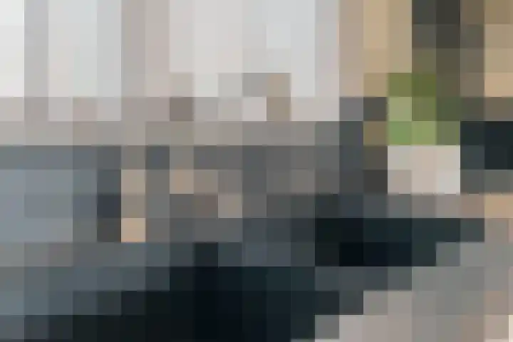 't Geluk 15 Geldrop thumbnail 23