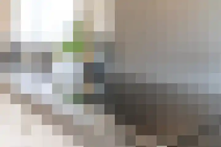 't Geluk 15 Geldrop thumbnail 24