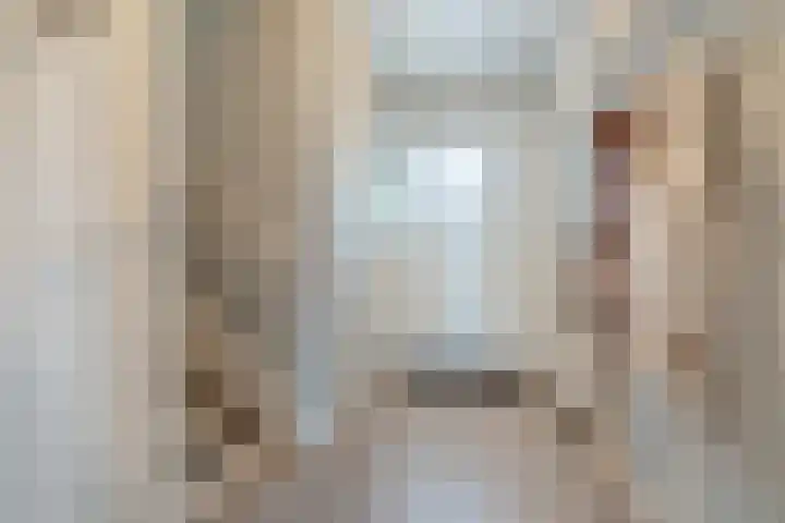 't Geluk 15 Geldrop thumbnail 4