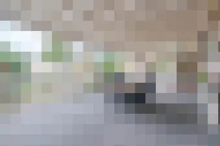 't Geluk 15 Geldrop thumbnail 41
