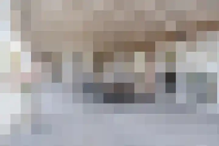 't Geluk 15 Geldrop thumbnail 42