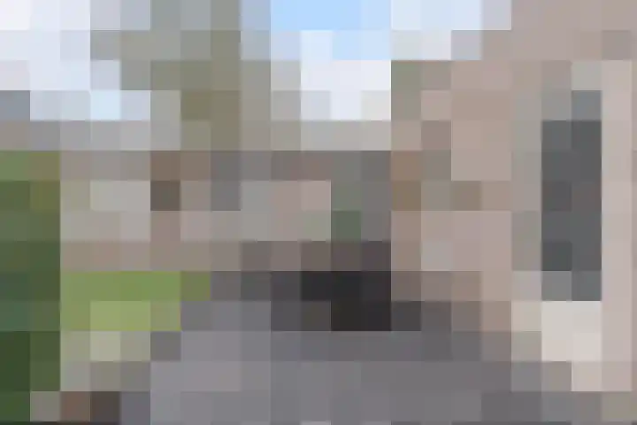 't Geluk 15 Geldrop thumbnail 47
