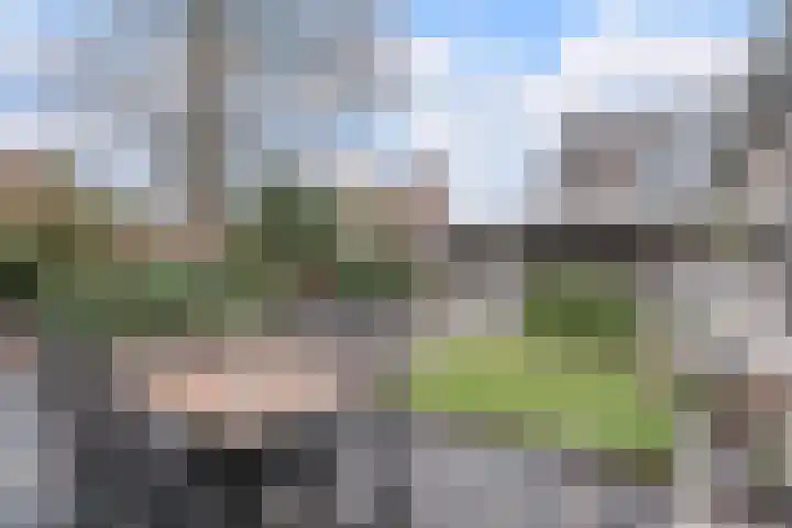 't Geluk 15 Geldrop thumbnail 49