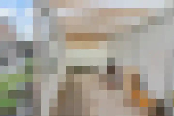 't Geluk 15 Geldrop thumbnail 50