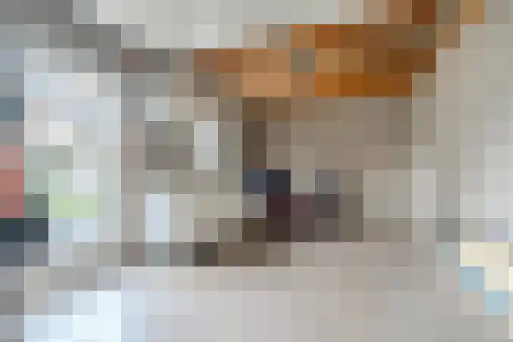 't Geluk 15 Geldrop thumbnail 52