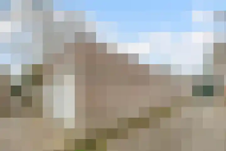 't Geluk 15 Geldrop thumbnail 54