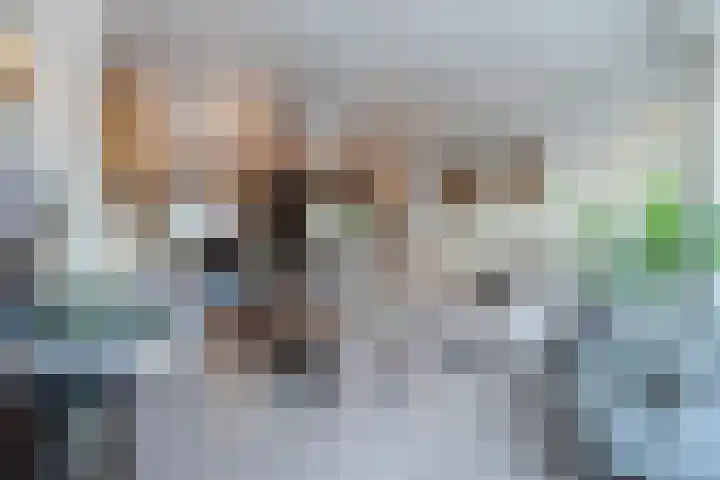 't Geluk 15 Geldrop thumbnail 8