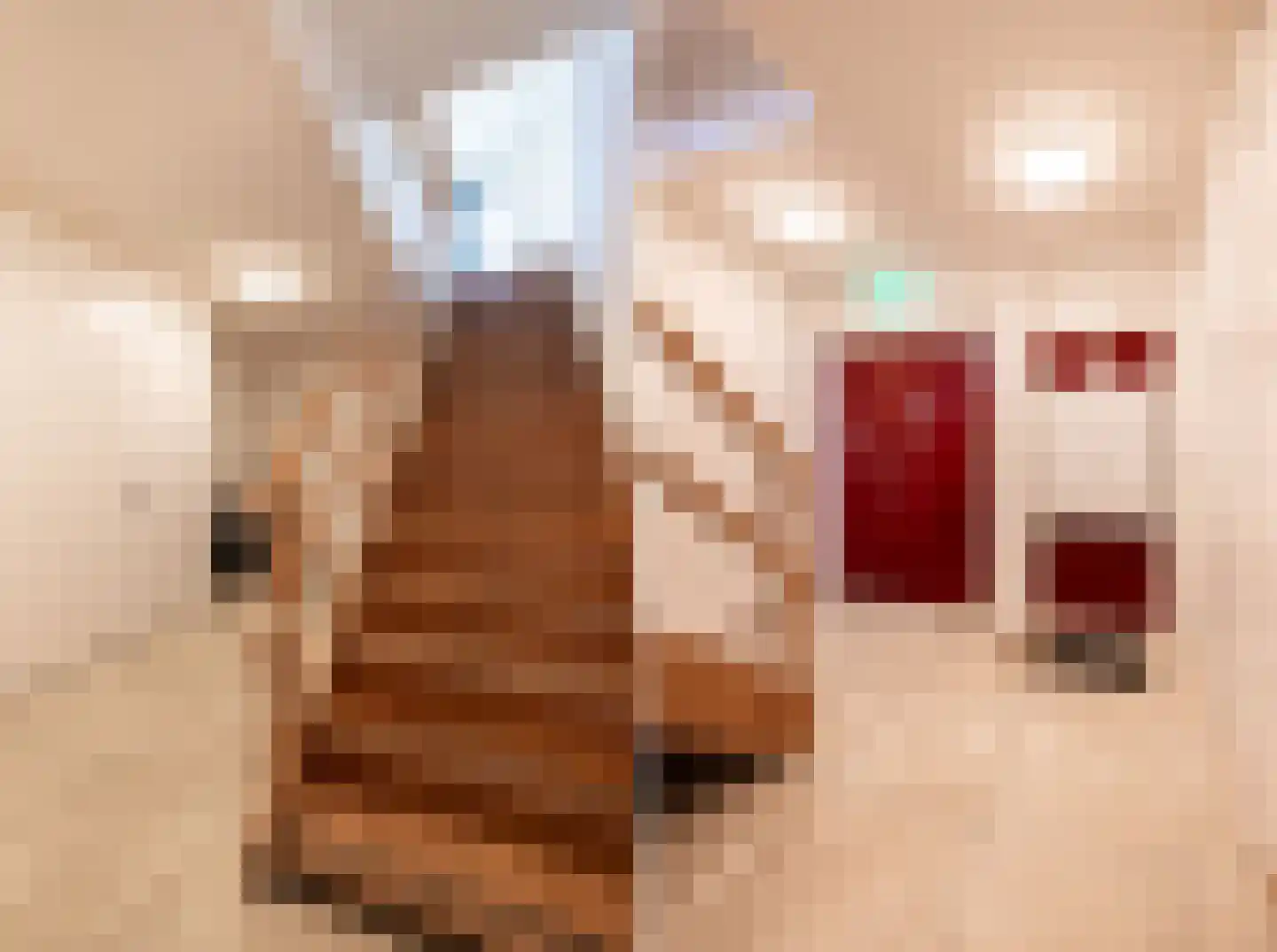 't Gengske 2 E Oss thumbnail 18