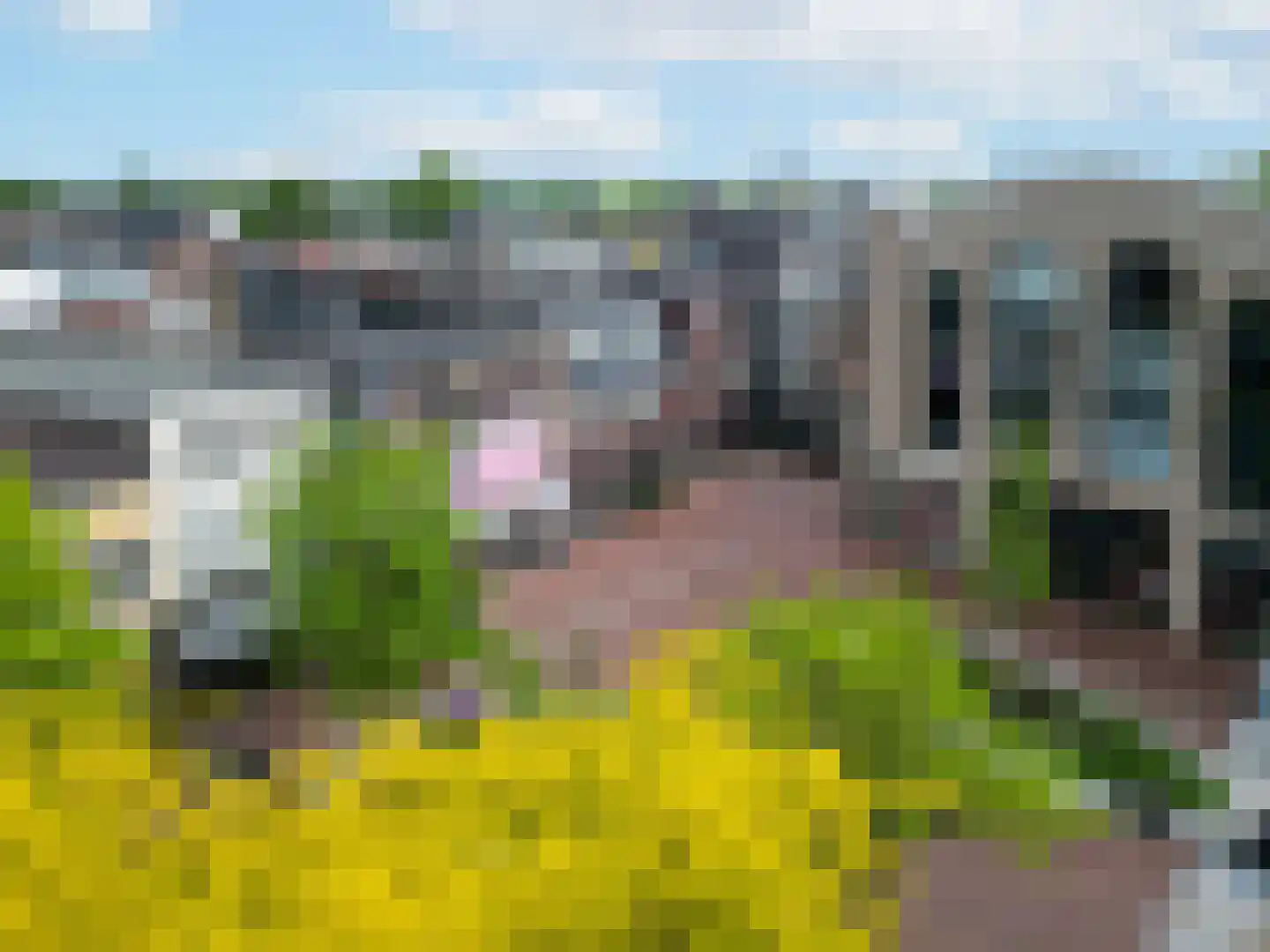 't Gengske 2 E Oss thumbnail 19