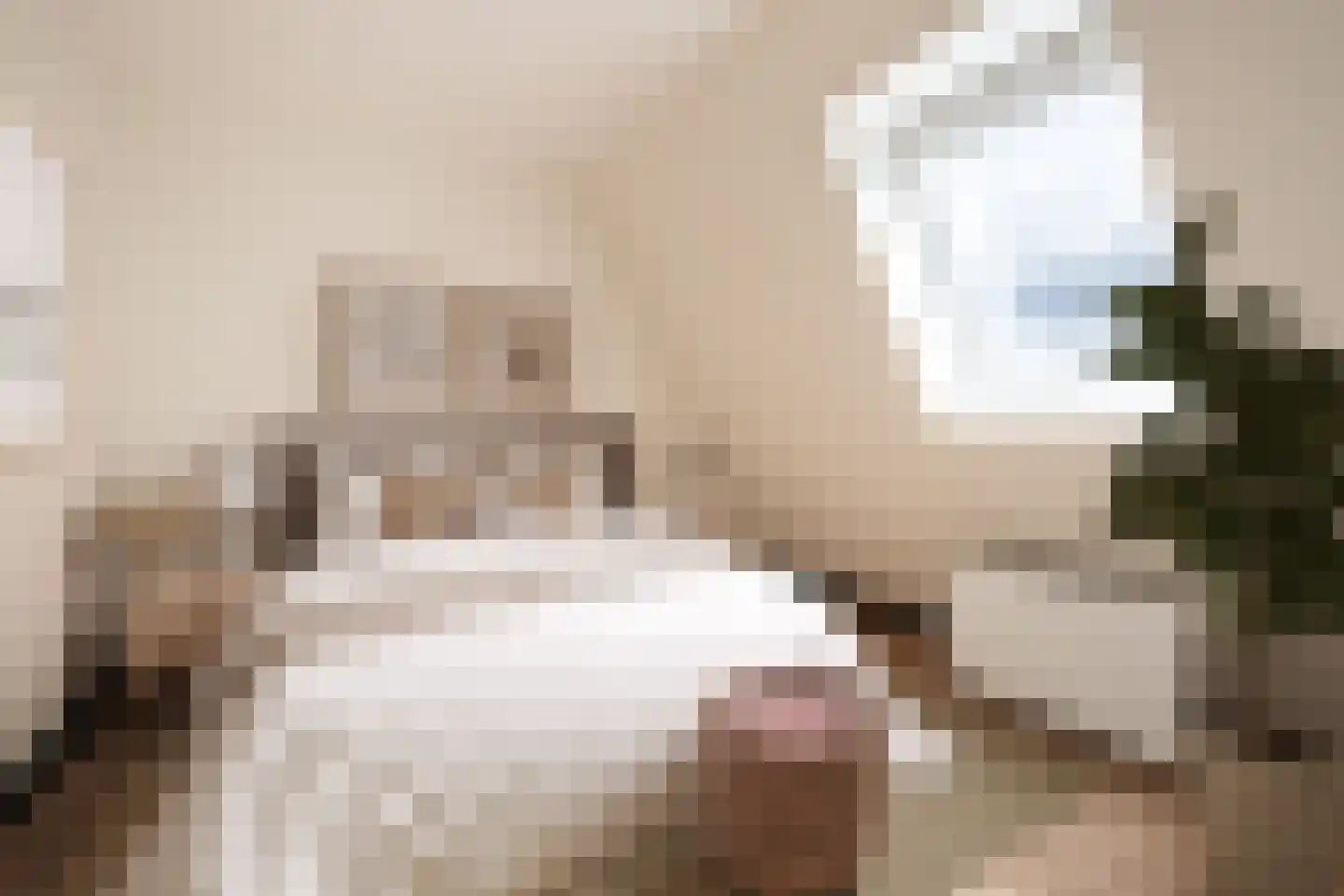 't Gengske 2 E Oss foto 3