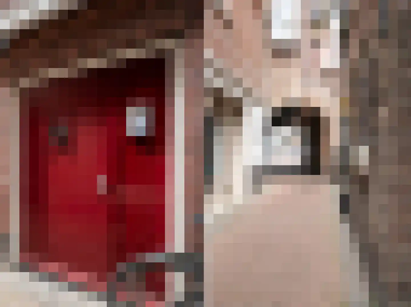 't Gengske 2 E Oss thumbnail 6