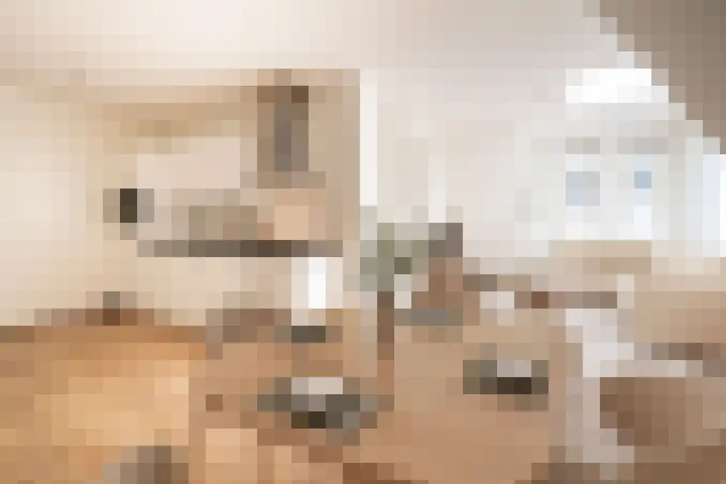 't Gengske 2 E Oss thumbnail 7