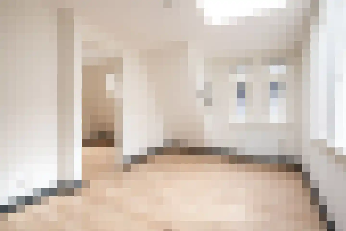 't Gengske 2 E Oss thumbnail 8