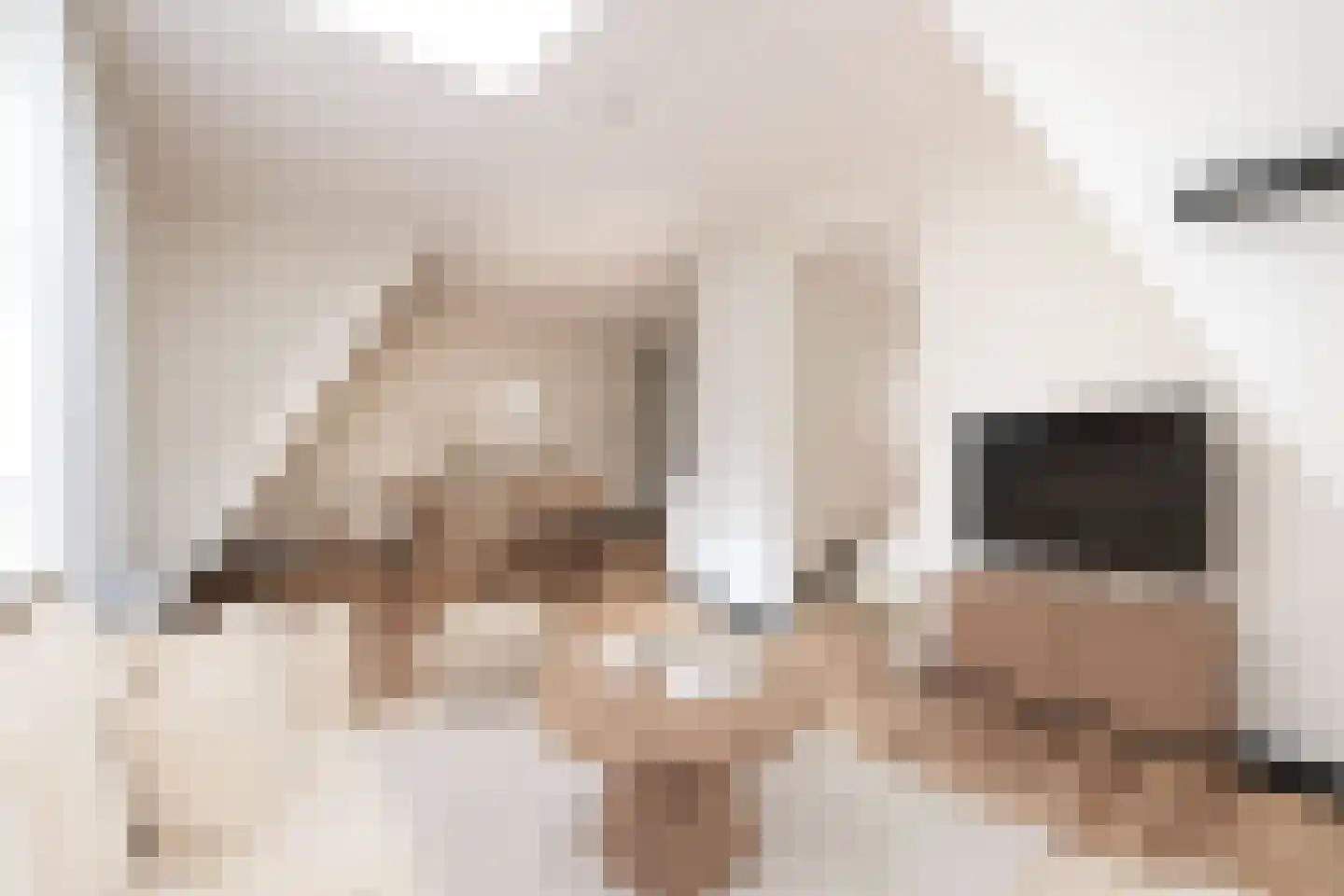 't Gengske 2 E Oss thumbnail 9