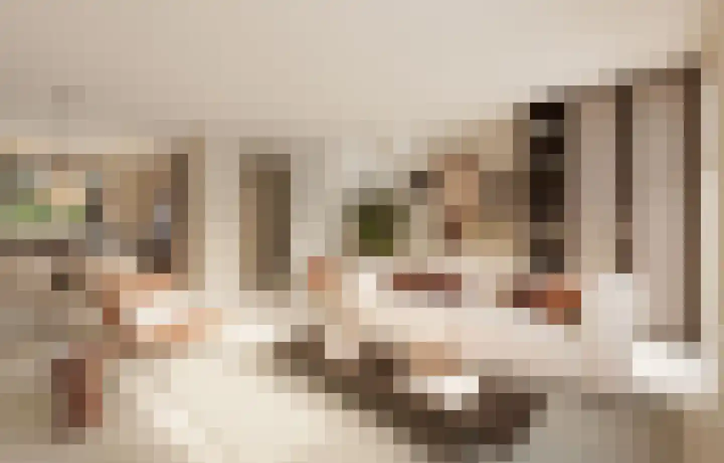 't Getij 60 Oude-Tonge thumbnail 8