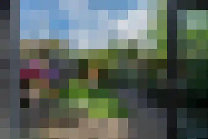 't Goylaan 56 Utrecht thumbnail 10