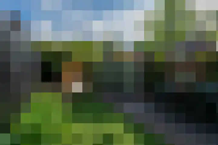 't Goylaan 56 Utrecht thumbnail 11