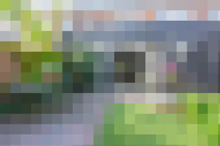 't Goylaan 56 Utrecht thumbnail 13