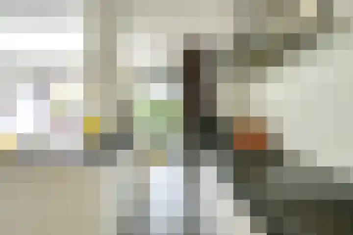 't Goylaan 56 Utrecht thumbnail 18