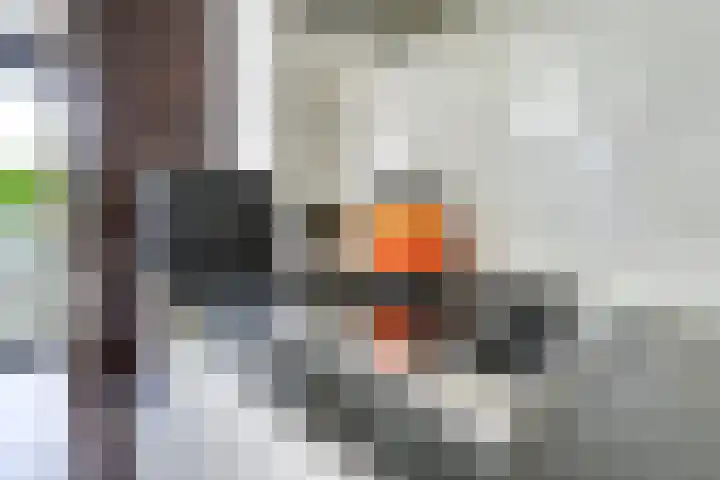't Goylaan 56 Utrecht thumbnail 19