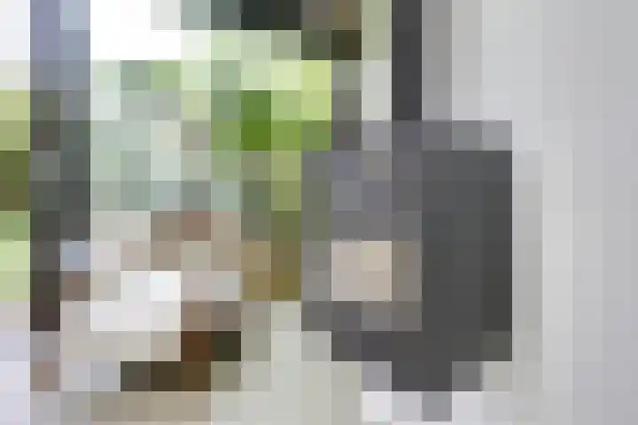 't Goylaan 56 Utrecht thumbnail 22