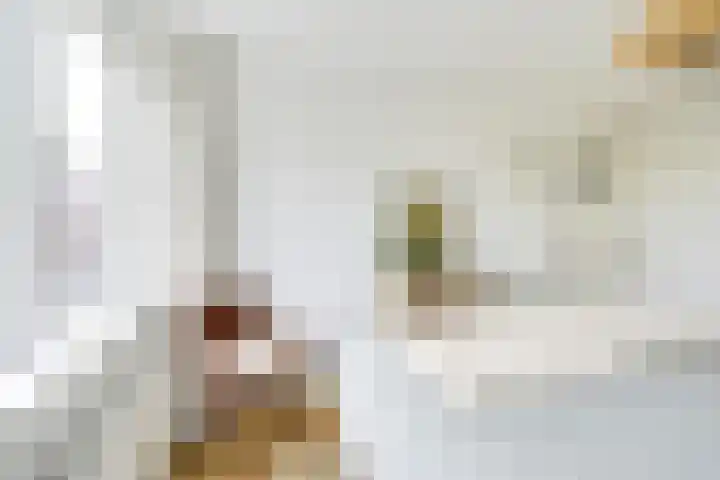 't Goylaan 56 Utrecht thumbnail 35