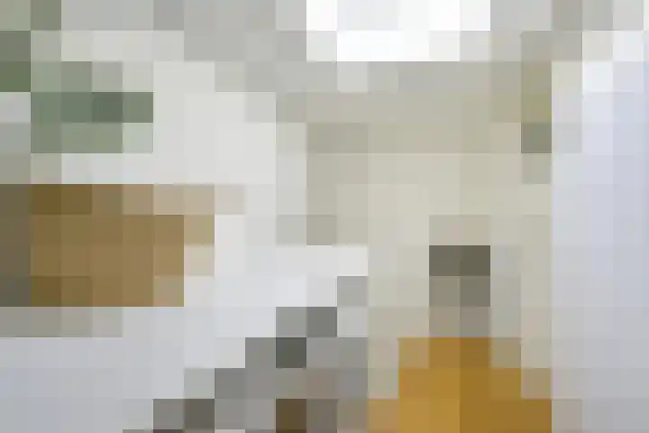 't Goylaan 56 Utrecht thumbnail 43