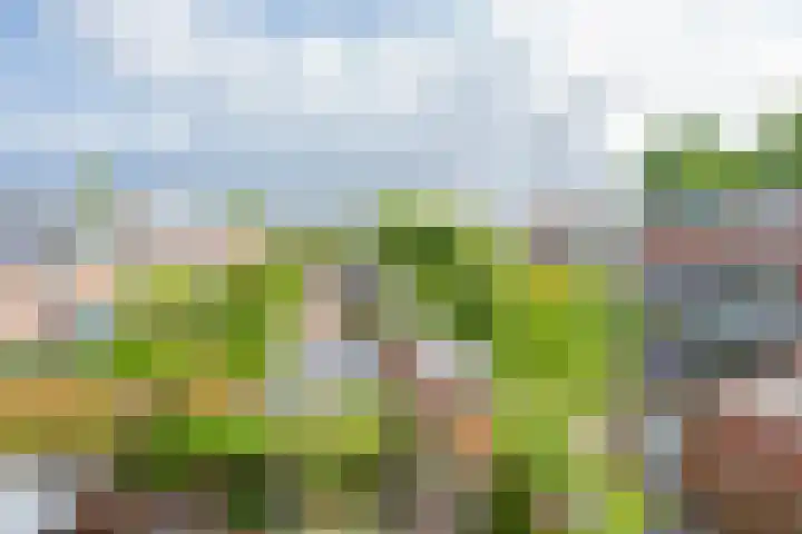 't Goylaan 56 Utrecht thumbnail 48