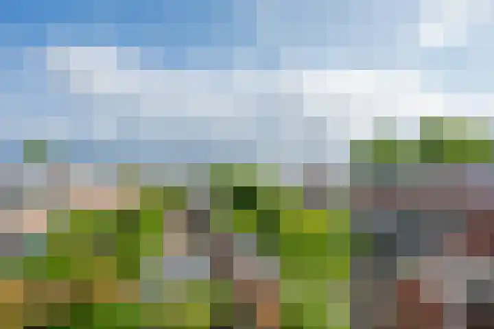 't Goylaan 56 Utrecht thumbnail 49