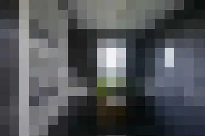 't Goylaan 56 Utrecht thumbnail 50