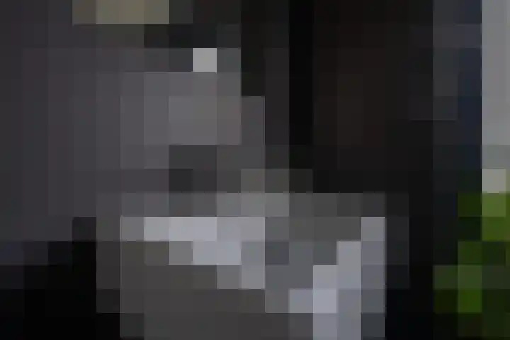 't Goylaan 56 Utrecht thumbnail 53
