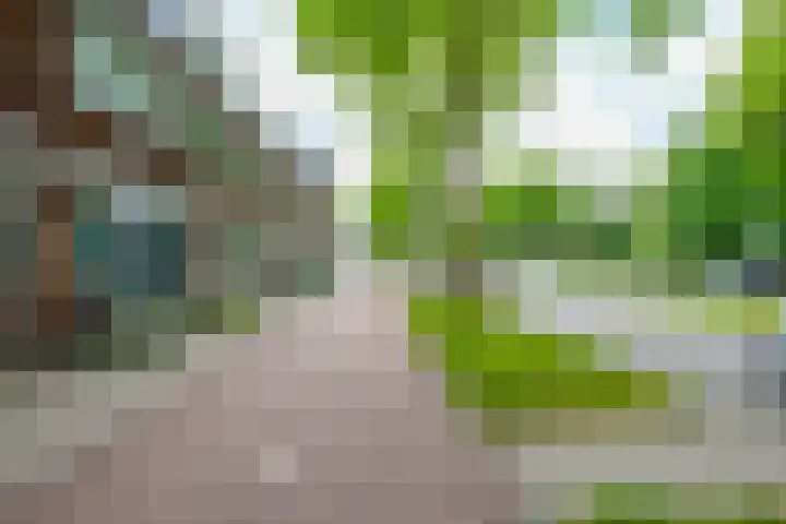 't Goylaan 56 Utrecht thumbnail 60