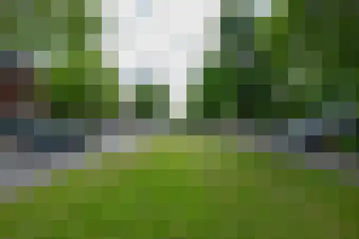 't Goylaan 56 Utrecht thumbnail 61