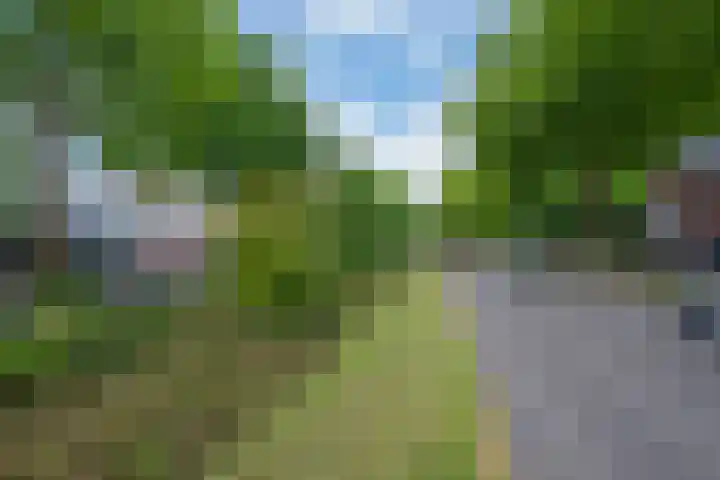 't Goylaan 56 Utrecht thumbnail 62