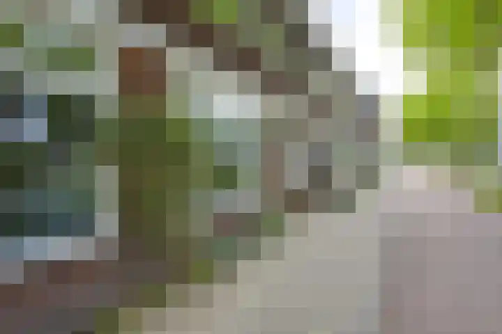 't Goylaan 56 Utrecht thumbnail 66